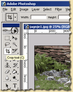 Crop tool, alatka za opsecanje fotografija. Izaberite ovu alatku, označite mišem deo slike koji želite da sačuvate i dva puta kliknite na izabranu površinu.